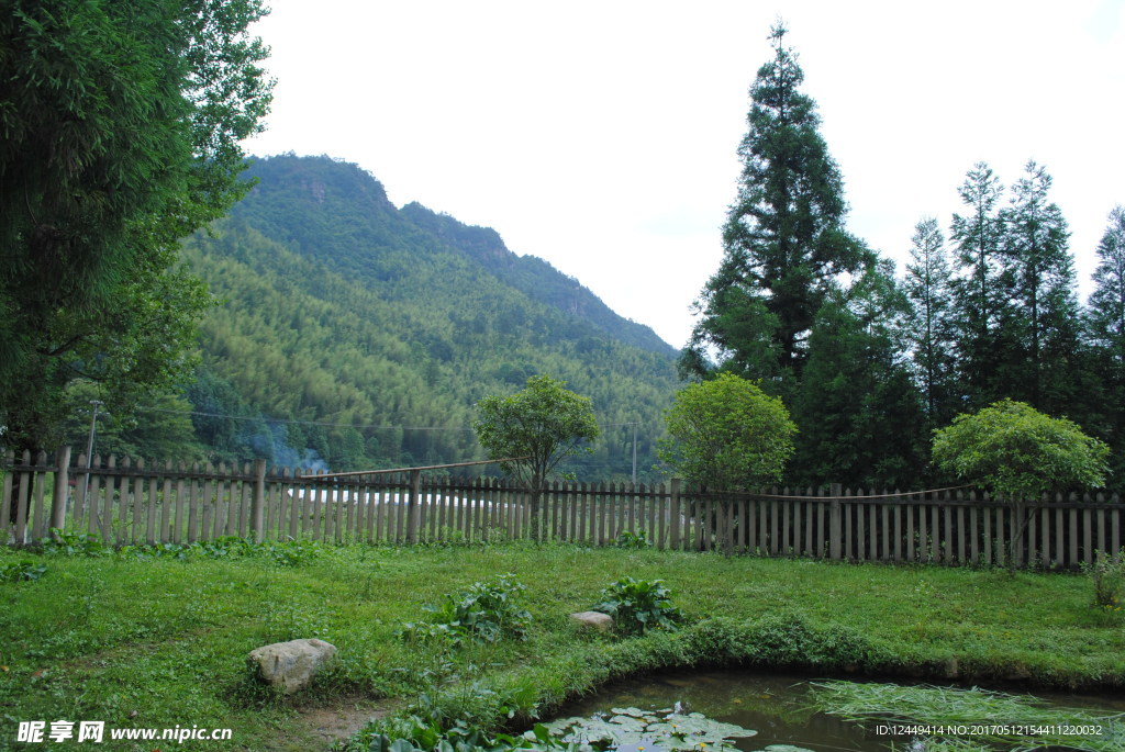 乡村风景