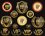 VIP卡矢量