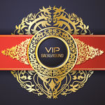 VIP背景豪华设计矢量
