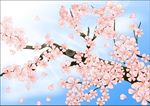 花枝矢量