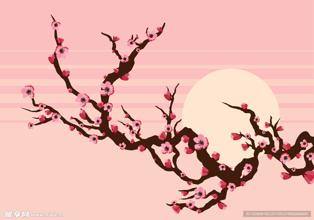 花枝矢量
