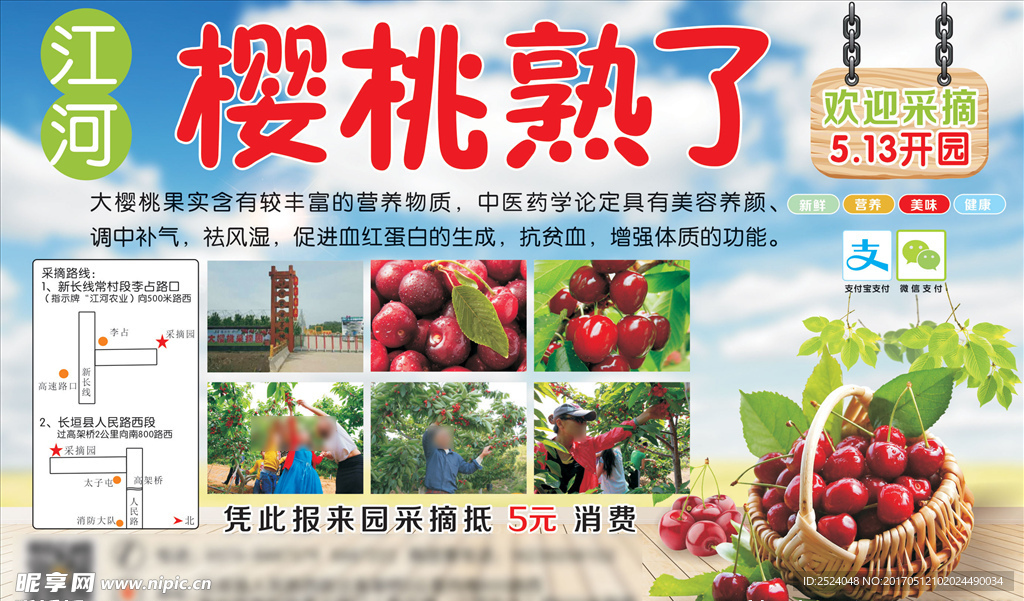樱桃熟了