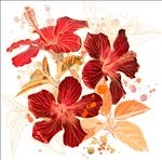 手绘花卉矢量