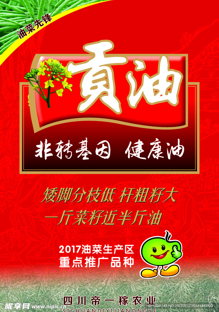 油菜种子广告