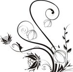 单花  藤蔓 无瓣花 果实
