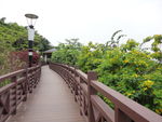 路