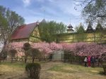 哈尔滨松花江江岸一角