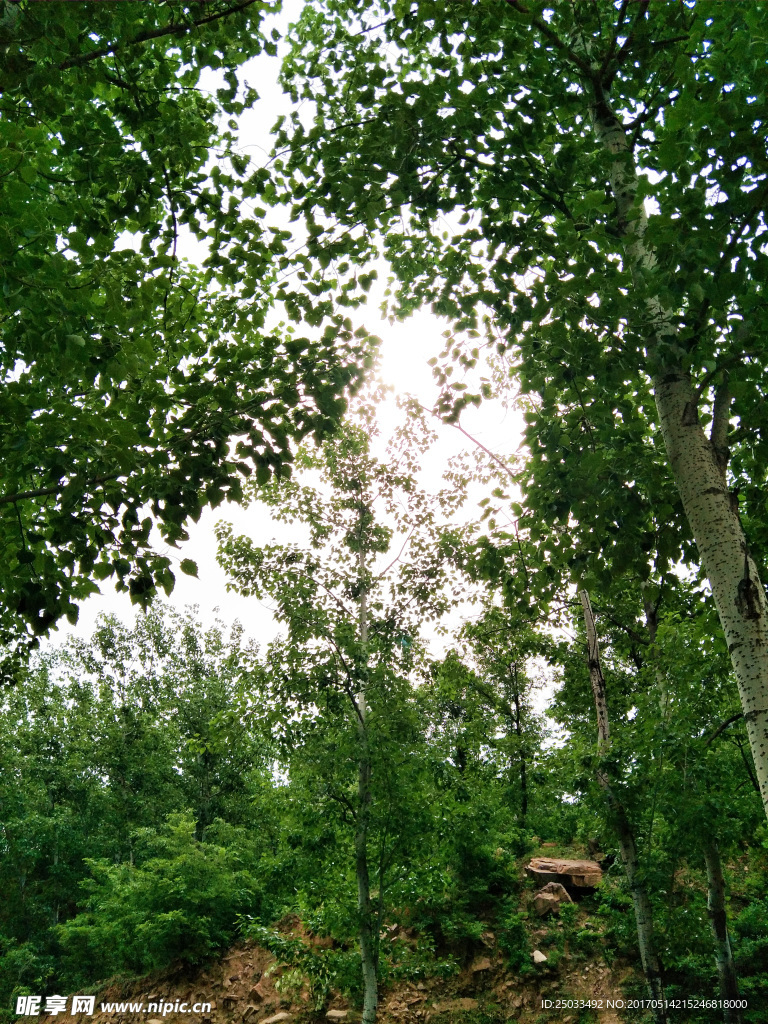 自然风景