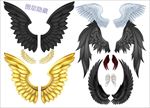 羽毛翼素材