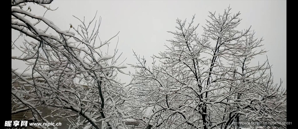 下雪了