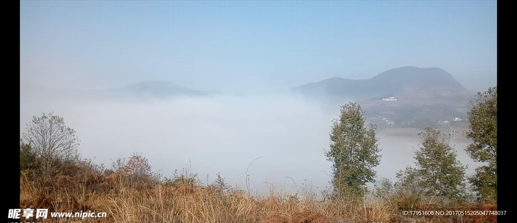 晨雾