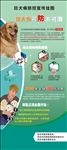 狂犬病宣传挂图