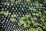 堆砌的啤酒瓶
