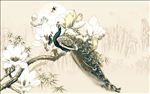 中式玉兰孔雀电视背景墙