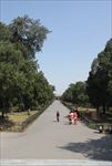 天坛公园风景