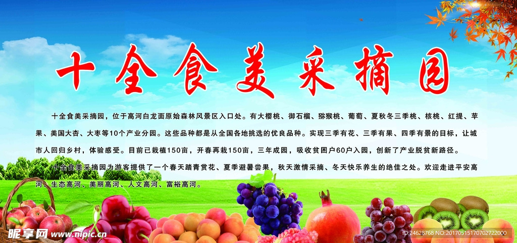 十全食美采摘园