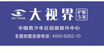 大视界