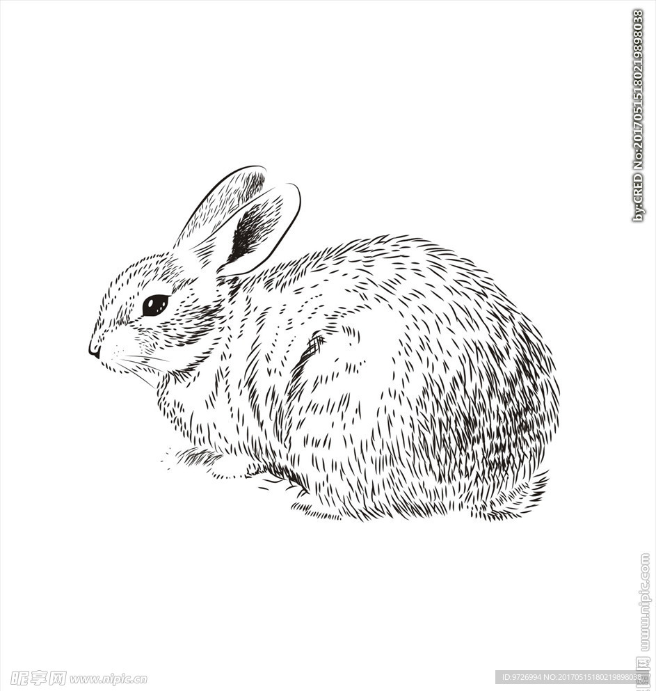 素描动物图案下载兔子矢量图下载