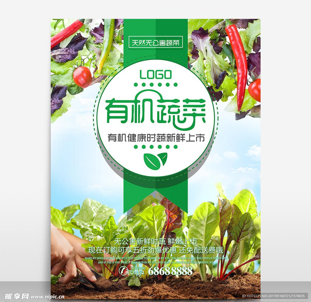 无公害有机蔬菜新鲜上市海报模板