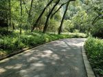 公园小路