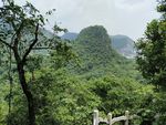山顶