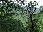 山顶风光