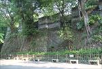 越秀公园古城墙盘根错节
