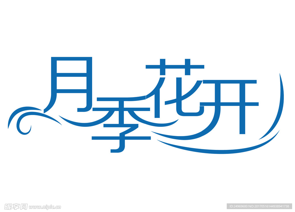 月季花开