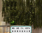 氧吧里面的植物墙 绿化 生态