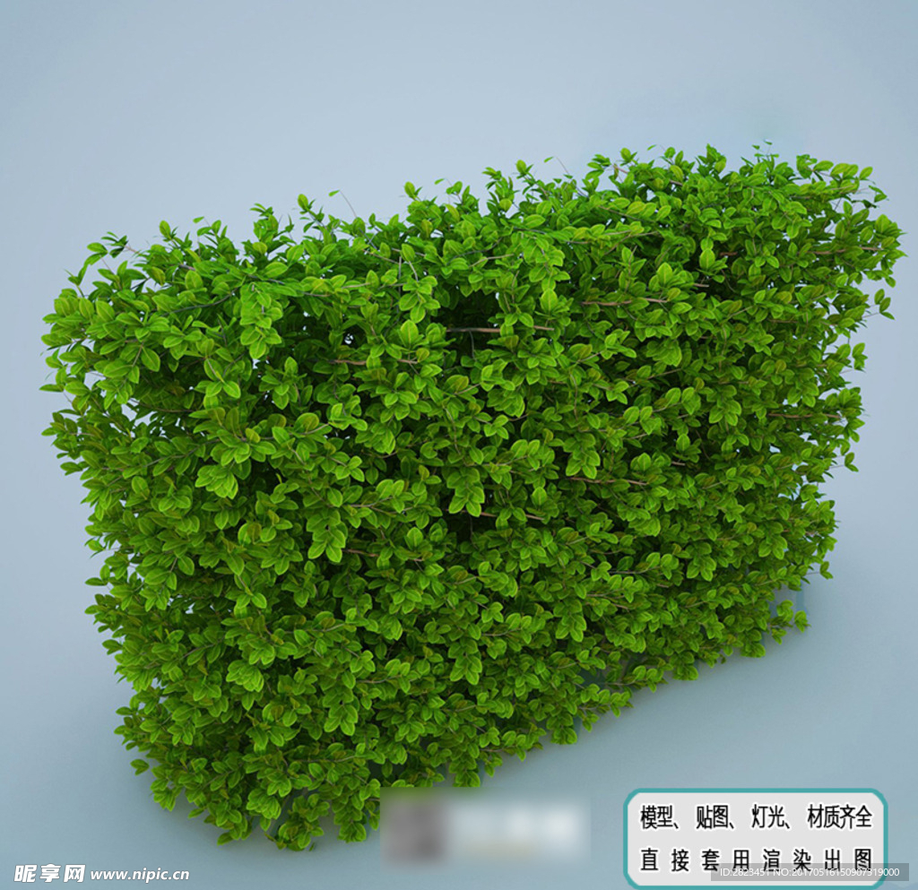 植物墙 绿化 生态