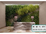植物墙 绿化 生态