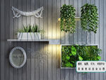 装饰植物墙 组合模型 生态