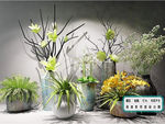 花艺花瓶 陈设品植物 组合模型