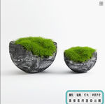 植物墙 盆栽 盆景