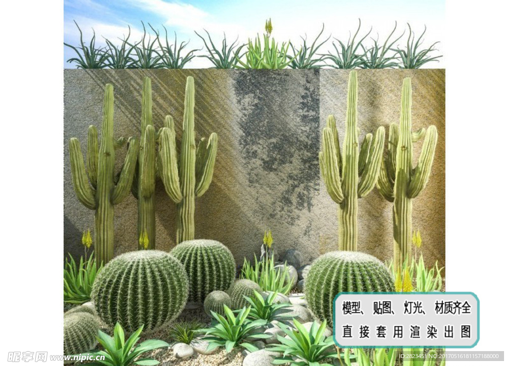 植物墙 沙漠植物仙人掌组合盆景