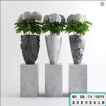 植物墙 盆栽 盆景