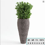 植物墙 盆栽 盆景
