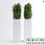 植物墙 盆栽 盆景
