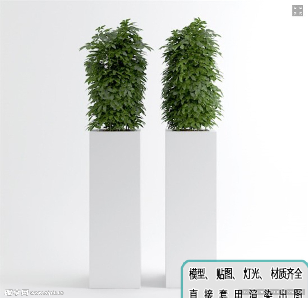 植物墙 盆栽 盆景