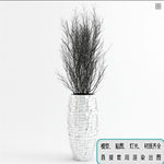 植物墙 盆栽 盆景