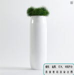植物墙 盆栽 盆景