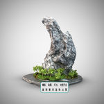 植物墙 盆栽 中式盆景