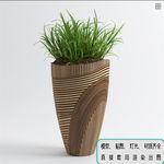 植物墙 盆栽 盆景