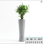 植物墙 盆栽 盆景