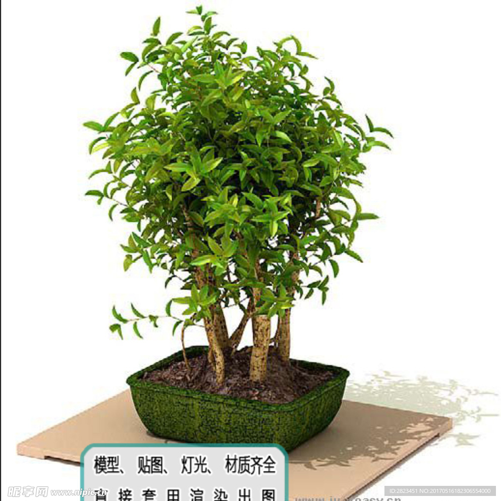 植物墙 盆栽 盆景