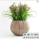 植物墙 盆栽 盆景