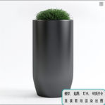 植物墙 盆栽 盆景
