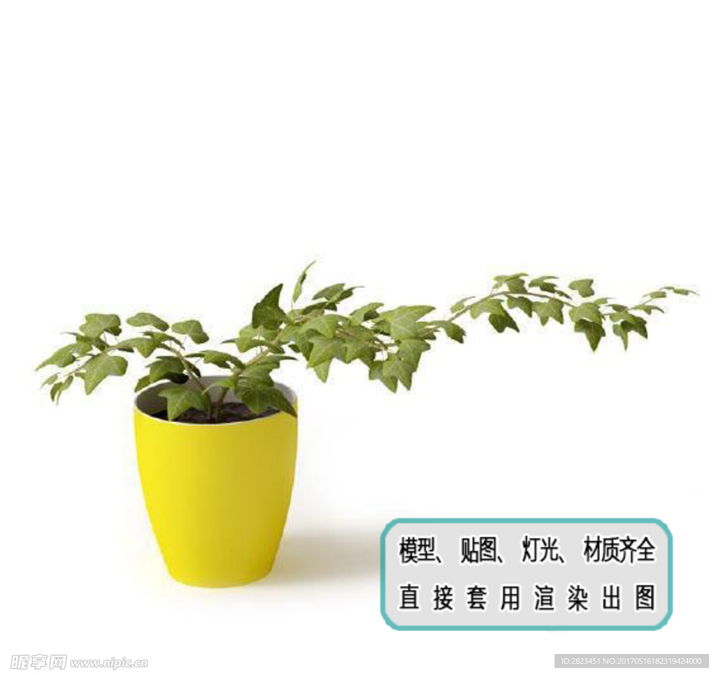 植物墙 盆栽 盆景
