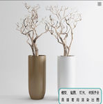 植物墙 盆栽 盆景