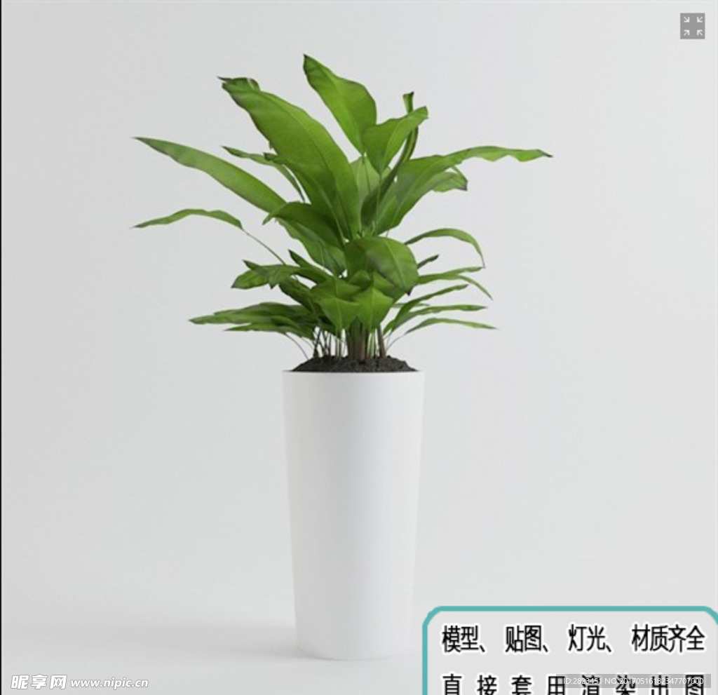 植物墙 盆栽 盆景